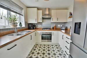 Photo 12- click for photo gallery